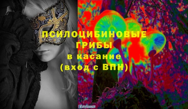 эйфоретик Аркадак