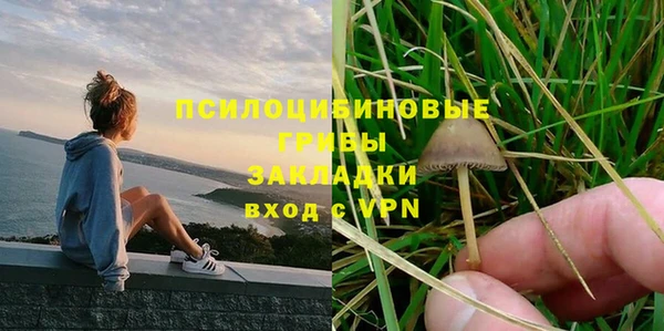 эйфоретик Аркадак