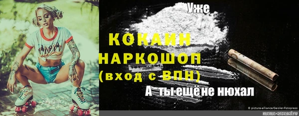 эйфоретик Аркадак