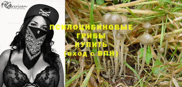 каннабис Алзамай