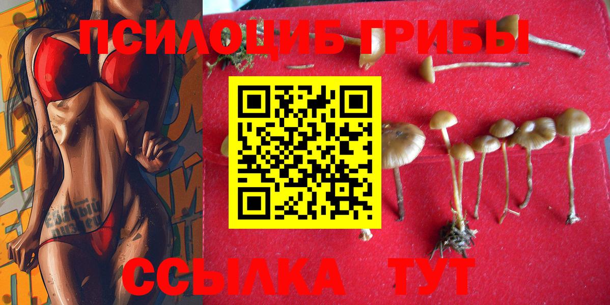 Галлюциногенные грибы мухоморы  Вход с VPN  Псилоцибиновые грибы Cubensis  Чайковский 