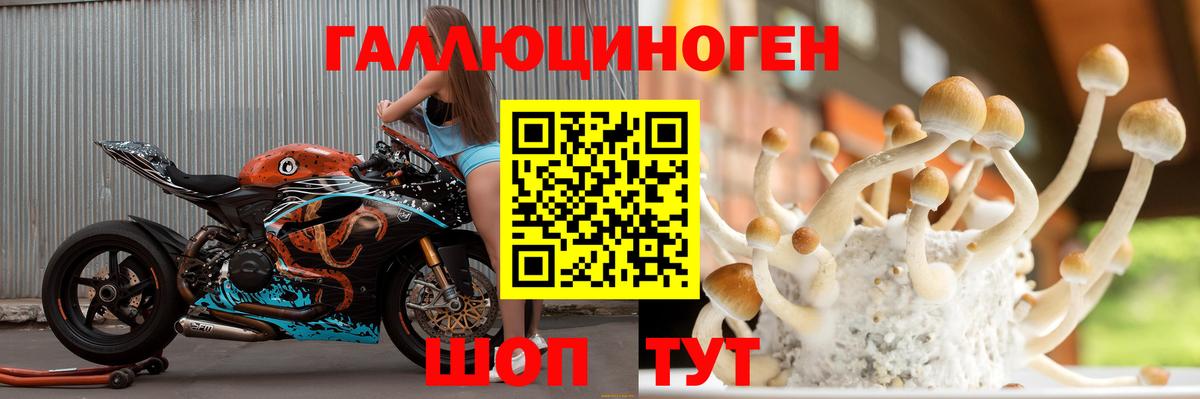 Псилоцибиновые грибы ЛСД Чайковский